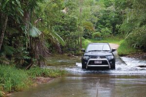 The Pioneer Valley and Eungella National Park - Whitsundays Tourism
