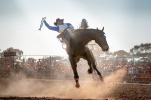 Rodeo by the Sea - Streaky Bay - Whitsundays Tourism