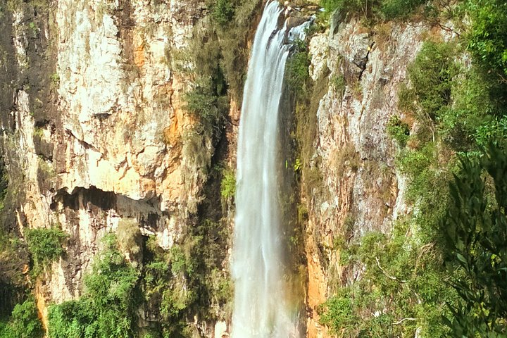 Private Tour - Rainforest  Waterfalls Extravaganza - Whitsundays Tourism