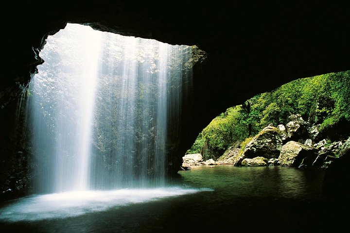 Natural Bridge  Springbrook Waterfalls Tour - Whitsundays Tourism
